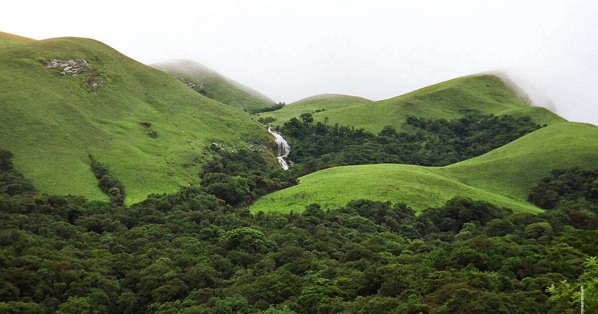 ಹಾಳು  ಸರ್ಕಾರಗಳಿಂದ  ಮಲೆನಾಡು ಬೋಳು
